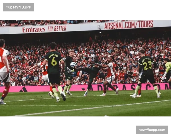 布莱顿1-1战平布伦特福德 双方各取一分